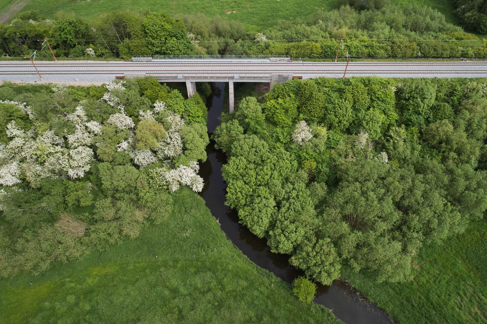 Natur langs jernbanen