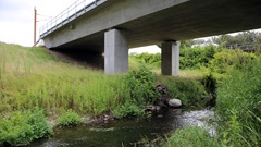 Natura 2000: Banedanmark opførte en jernbanebro over Køge Å i forbindelse med den nye højhastighedsbane. 