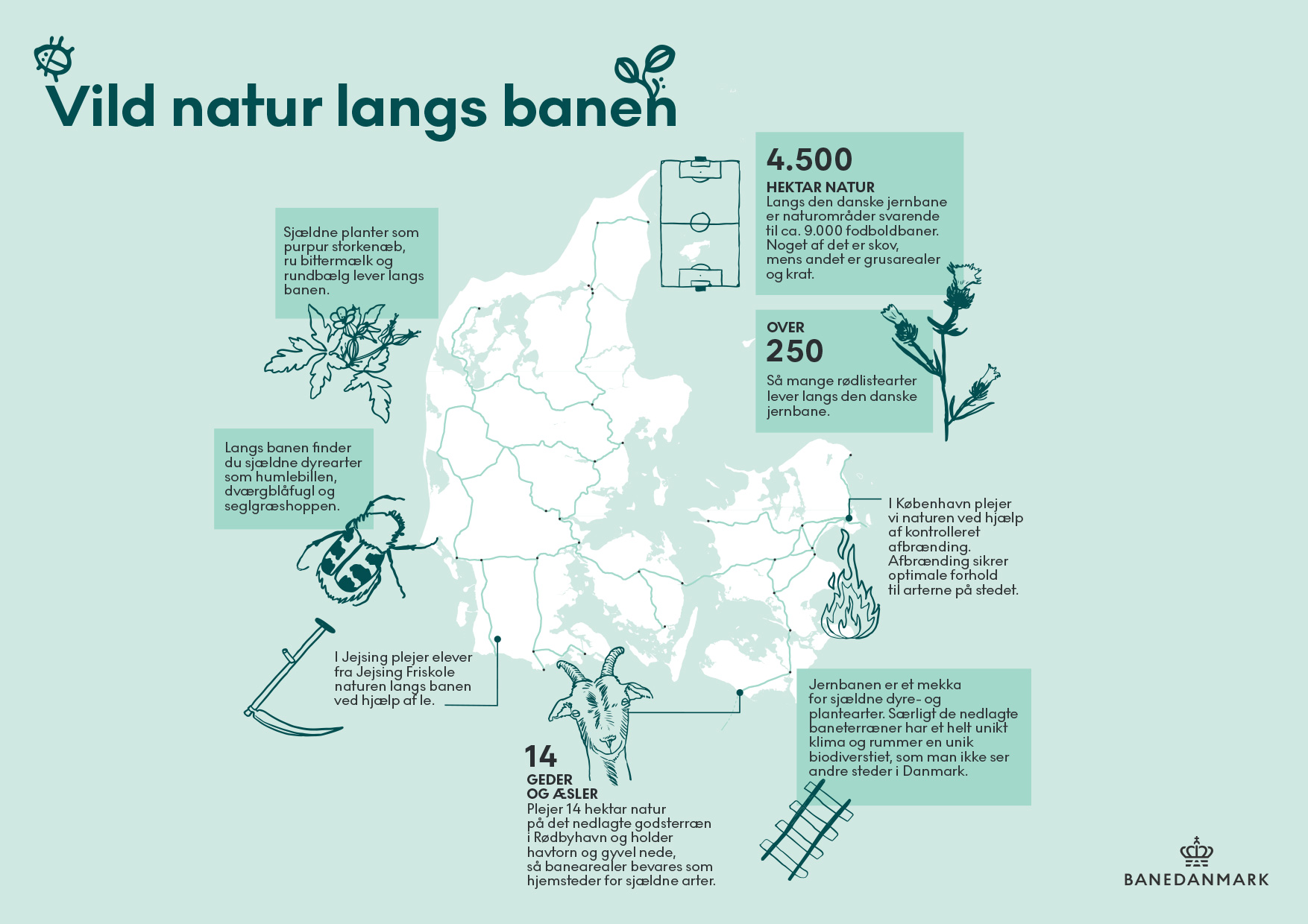 infografik der viser forskelligt vild natur langs med banen