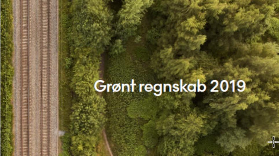 Forsidebillede af Grønt regnskab 2019